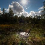 Naturaleza increíble  - Finlandia en PhotoEspaña